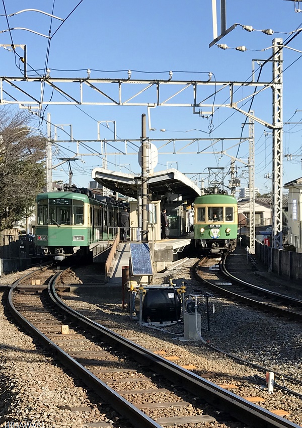 江ノ電風景 百舌鳥のいる風景 ひまわりのしっぽ