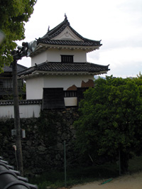 大洲城 2009年