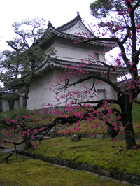 二条城 2009年