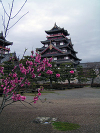 伏見桃山城 2009年