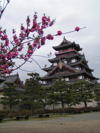 伏見桃山城 2009年