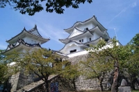 伊賀上野城(2010年)