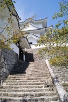 伊賀上野城(2010年)