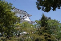伊賀上野城(2010年)