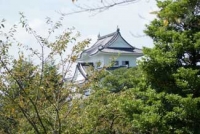伊賀上野城(2010年)