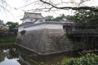 水口城(滋賀)2010年