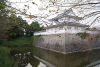 水口城(滋賀)2010年