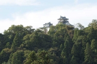 越前大野城
