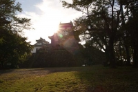越前大野城