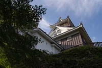 越前大野城