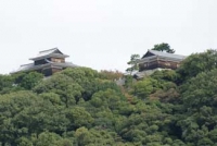 伊予松山城(愛媛)2010