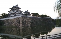 岸和田城(大阪)2010