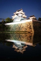 岸和田城(大阪)2010