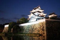 岸和田城(大阪)2010