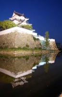 岸和田城(大阪)2010