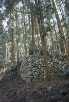 高取城(奈良)2011