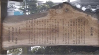 小泉城(奈良)2011
