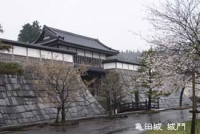 亀田城(秋田)2011