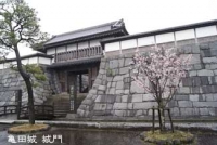 亀田城(秋田)2011