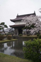 出羽松山城(山形)2011