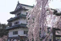 弘前城(青森)2011