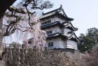 弘前城(青森)2011