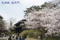 弘前城(青森)2011