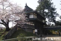 弘前城(青森)2011