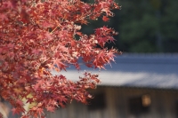 和歌山城