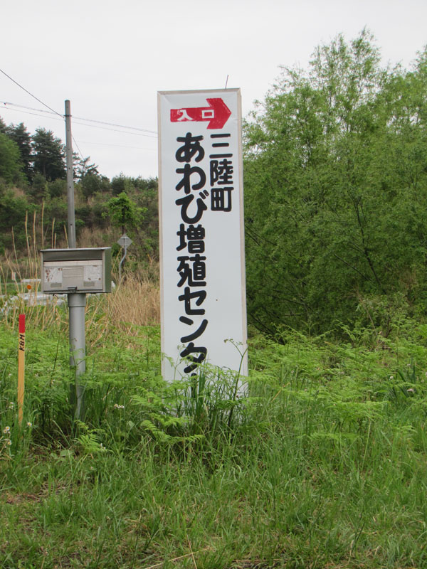 namiita0522013