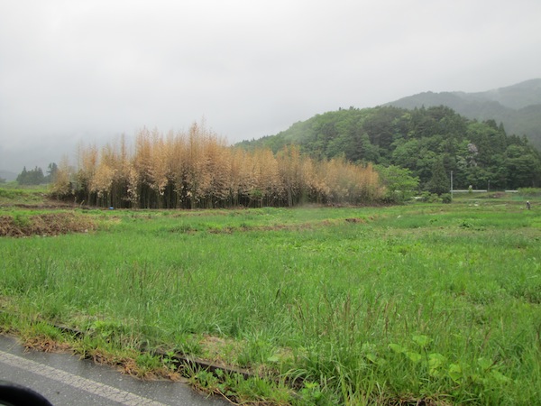 yoshihama052809