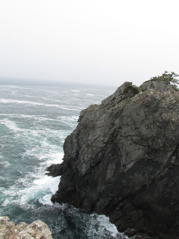 goishikaigan061307