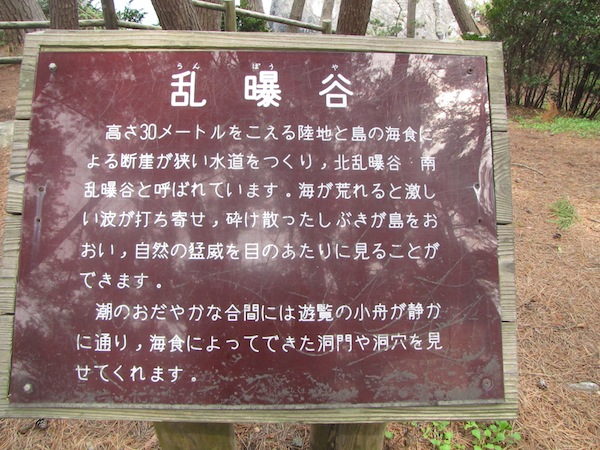 goishikaigan061309