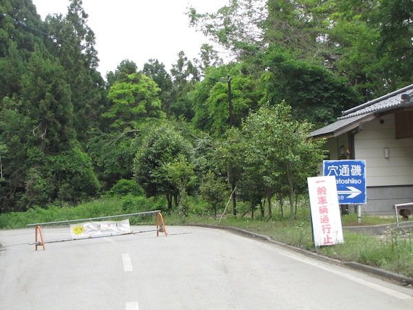 wankoubouhatei0611901