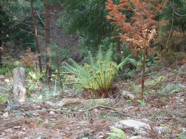 koubezaki070607