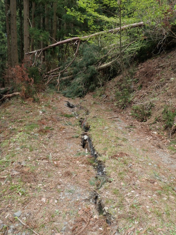koubezaki070804