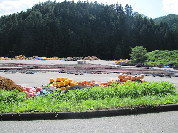 michishitahyokyou071001