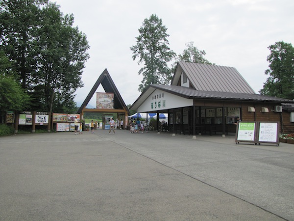 koiwai071601