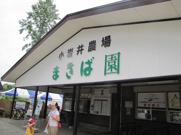 koiwai071602