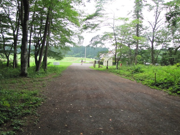 koiwai071608