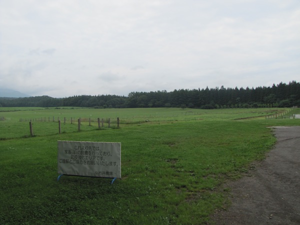 koiwai071609