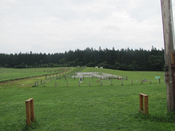 koiwai071612