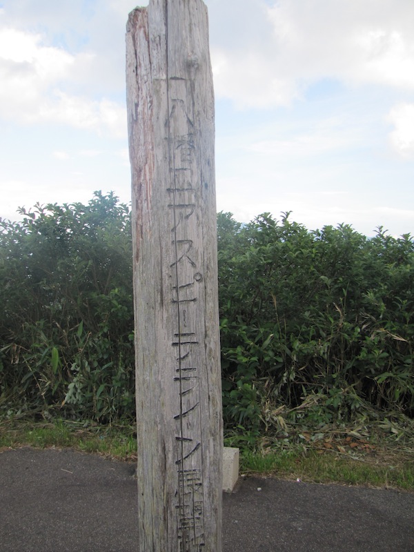 koiwai071661