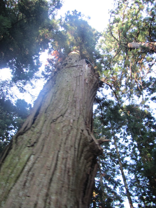 hiraizumi071807