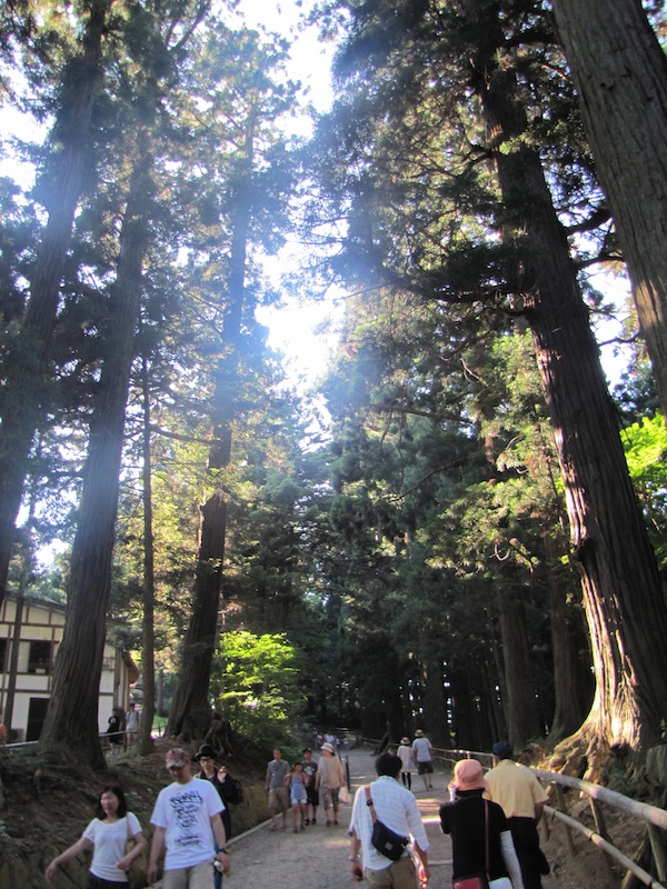 hiraizumi071809