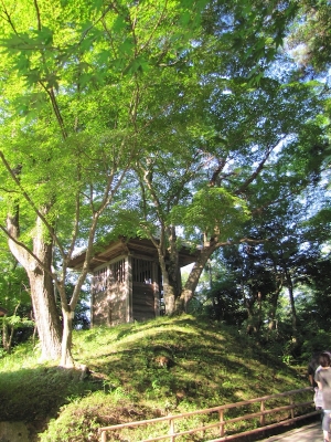 hiraizumi071820