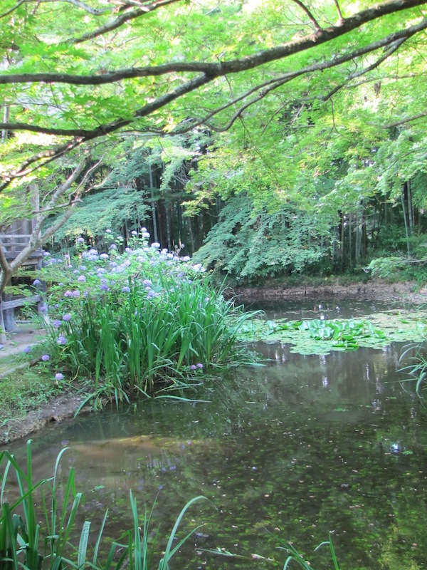 hiraizumi071831