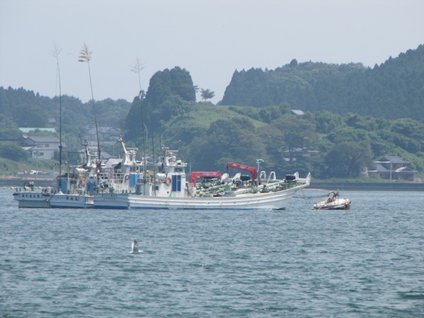 ofunatoichiba071907