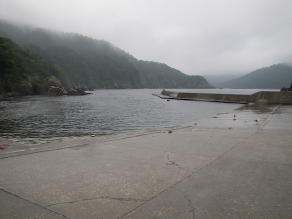 kojigyokou073006