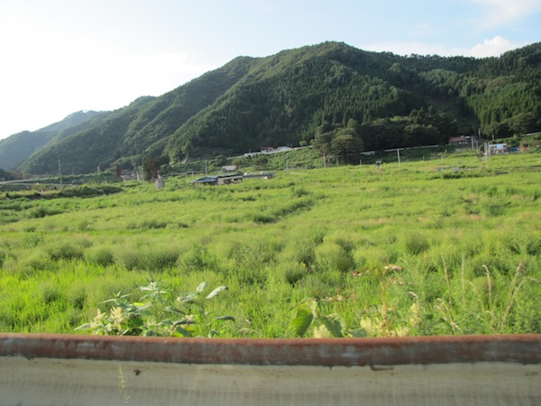 oishi082737